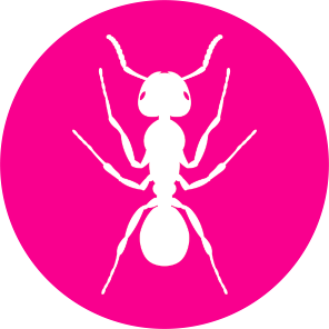 ANT312 Company Logo